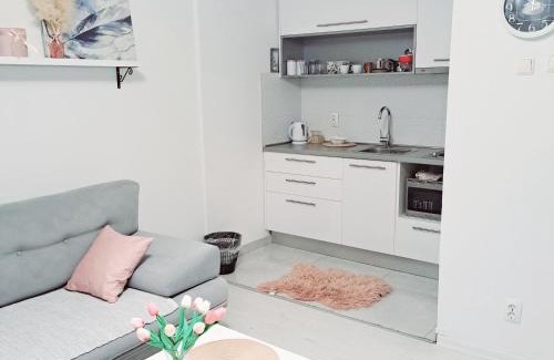 Mostar Apartment | Apartman Simple