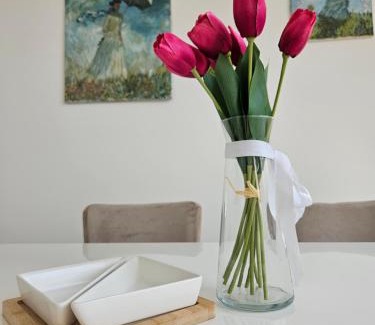 Sremska Mitrovica Apartment | Apartman Sky