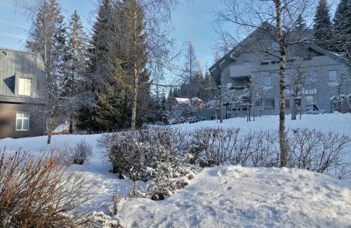 Harrachov Apartment | Apartman Sofie Harrachov
