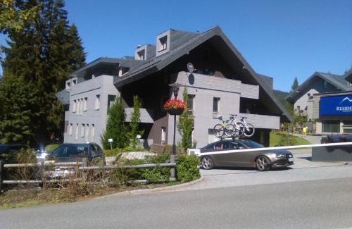 Harrachov Apartment | Apartman Sofie Harrachov