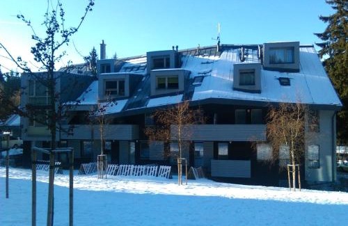 Harrachov Apartment | Apartman Sofie Harrachov