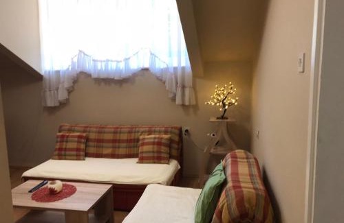 Central Serbia Apartment | Apartman Spasic