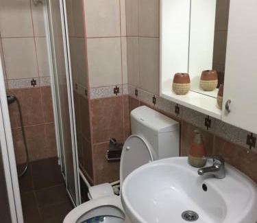 Central Serbia Apartment | Apartman Spasic