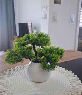 Vrnjacka Banja Apartment | Apartman Srećko Lux