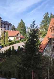 Zlatibor Apartment | Apartman Staša Zlatibor