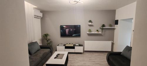 Odzaci Apartment | Apartman Stanković
