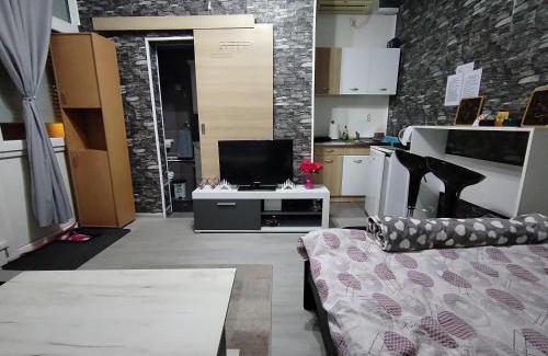 Vrsac Apartment | Apartman Starcevic