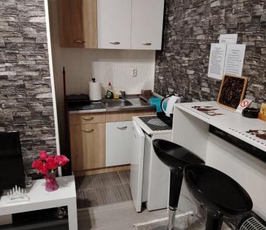 Vrsac Apartment | Apartman Starcevic