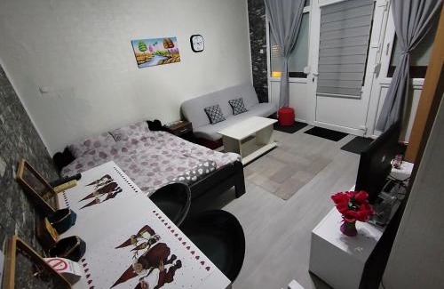 Vrsac Apartment | Apartman Starcevic