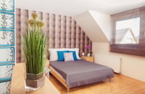 Buk Apartment | Apartman Szanyi