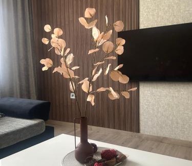 Subotica Apartment | Apartman Tara