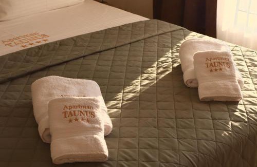 Lisina Apartment | Apartman TAUNUS