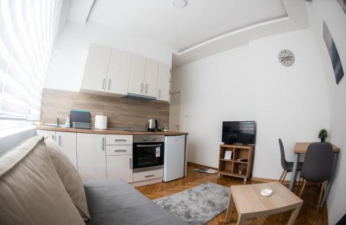 Banovo brdo Apartment | APARTMAN TEA 3