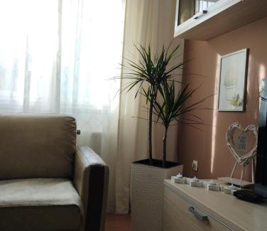 Canton 10 Apartment | Apartman Unac