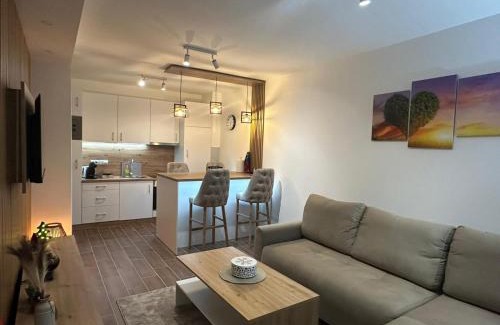 Vrnjacka Banja Apartment | Apartman Vasić