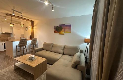 Vrnjacka Banja Apartment | Apartman Vasić