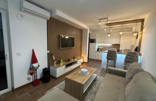 Vrnjacka Banja Apartment | Apartman Vasić