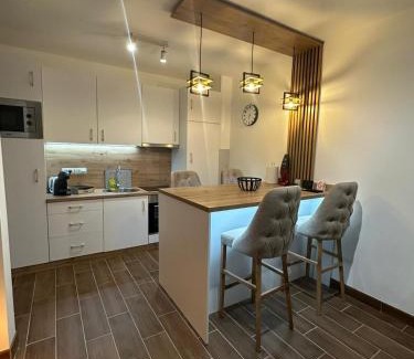 Vrnjacka Banja Apartment | Apartman Vasić