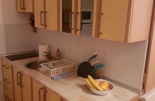 Banja Koviljaca Apartment | Apartman Vasic