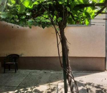 Vrdnik Apartment | Apartman Vesna