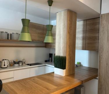 Central Serbia Apartment | Apartman Vila Jaram, Kopaonik
