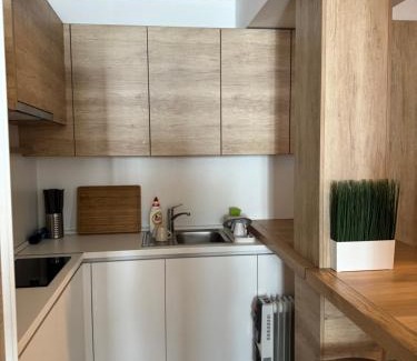 Central Serbia Apartment | Apartman Vila Jaram, Kopaonik