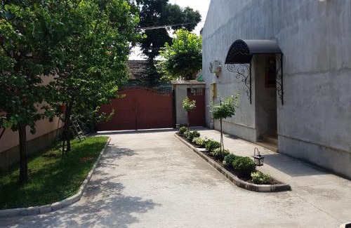 Kikinda Apartment | Apartman Vila Milica