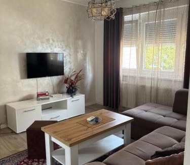 Mali Radic Apartment | Apartman VIVA