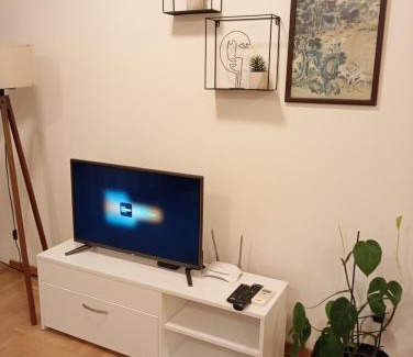 Central Serbia Apartment | Apartman Vuk
