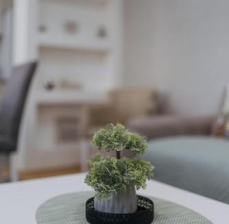 Pirot Apartment | Apartman Vukota Pirot