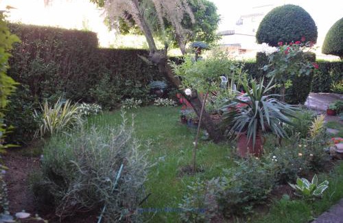 Vranje Apartment | Apartman Wisteria