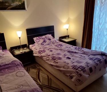 Gornja Trepca Apartment | Apartmani Čanović