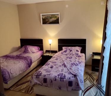 Gornja Trepca Apartment | Apartmani Čanović