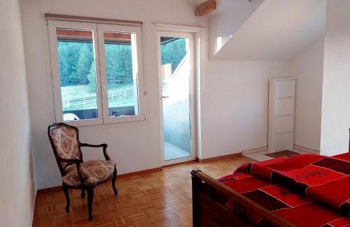 Kremna Apartment | Apartmani ŠUMSKA KUĆA