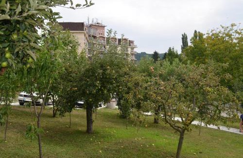 Vrdnik Apartment | Apartmani Ana