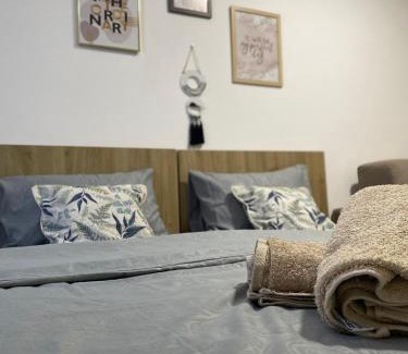 Ribarska Banja Bed & Breakfast | Apartmani AVLIJA