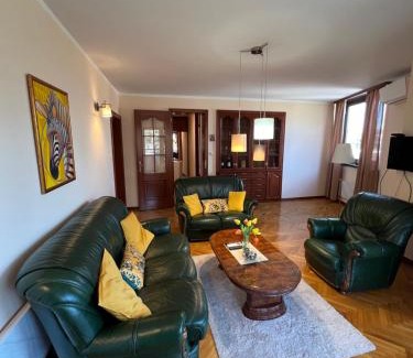 Vrnjacka Banja Apartment | Apartmani Central 12 & Free parking