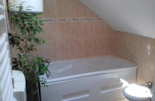 Novi Sad House | APARTMANI Emerald Dream
