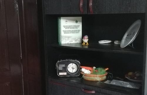 Central Serbia Apartment | Apartmani Feliks