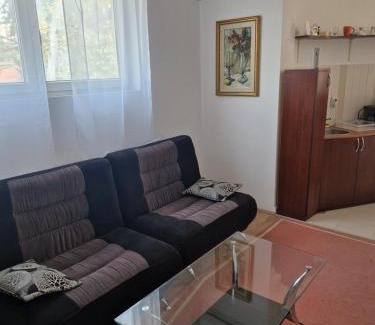 Kragujevac Apartment | Apartmani Janićijević 1