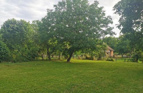 Vrdnik Apartment | Apartmani La Grande Motte