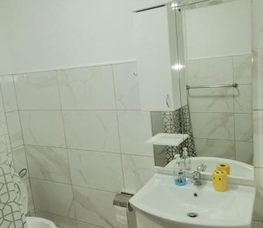 Central Serbia Apartment | Apartmani Lazić