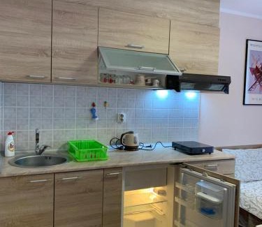 Vrnjacka Banja Apartment | Apartmani Mićić
