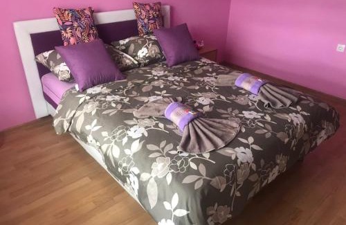 Zlatibor Apartment | Apartmani NINA Zlatar