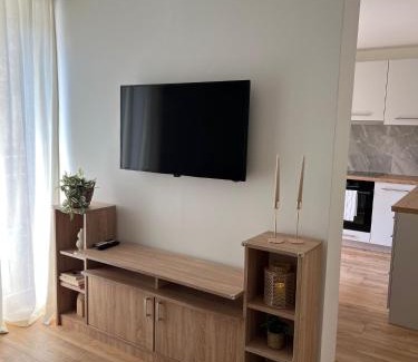 Canton 10 Apartment | Apartmani Pervan