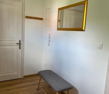 Canton 10 Apartment | Apartmani Pervan