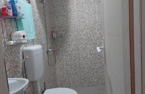 Central Serbia Apartment | Apartmani Petkovic 226