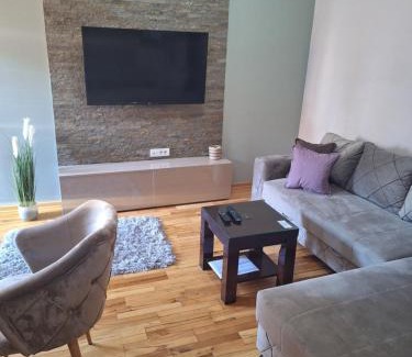 Vrnjacka Banja Apartment | Apartmani Radulović