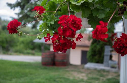 Central Serbia Apartment | Apartmani Rosica