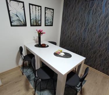 Kraljevo Apartment | Apartmani S - DSN
